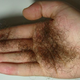 Illustration for article titled How Do You Like Your Pubes?